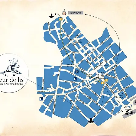 Fleur De Lis Panzió